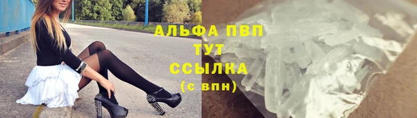 сатива Балахна