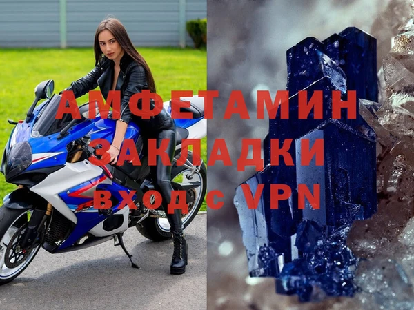 сатива Балахна