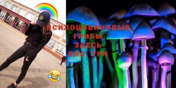 сатива Балахна